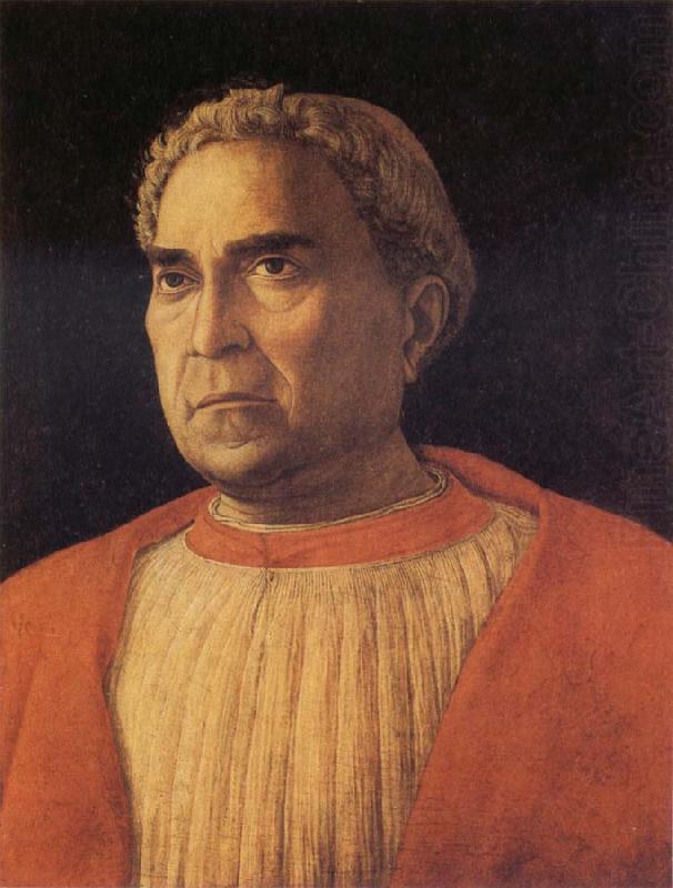 MANTEGNA, Andrea Portrait of  Cardinal Lodovico Trevisano china oil painting image